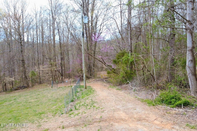 TBD Chestnut Cir, Lafollette, TN 37766 - view of street with a forest view