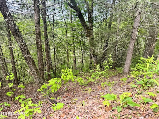 Montevallo Rd, Sevierville, TN 37876