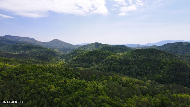 Montevallo Rd, Sevierville, TN 37876