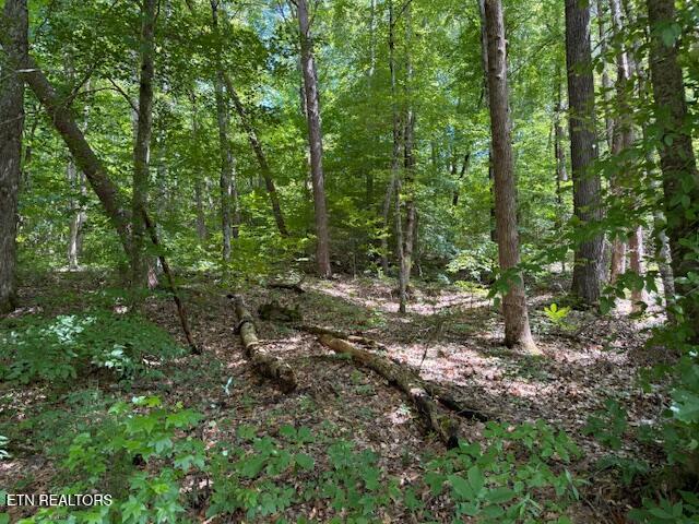 Bates Gibson Rd, Sevierville, TN 37876