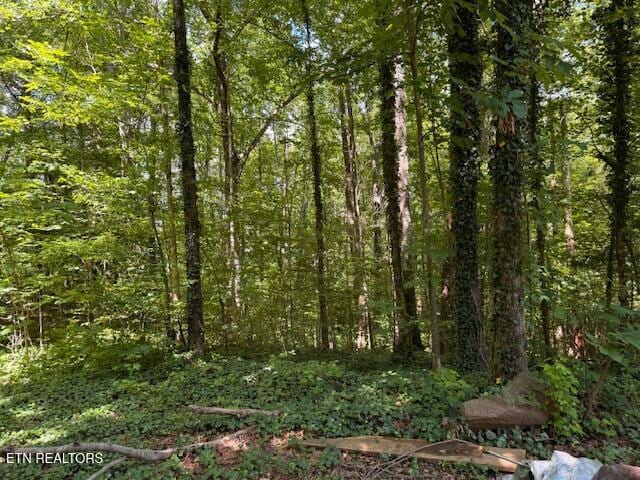Bates Gibson Rd, Sevierville, TN 37876