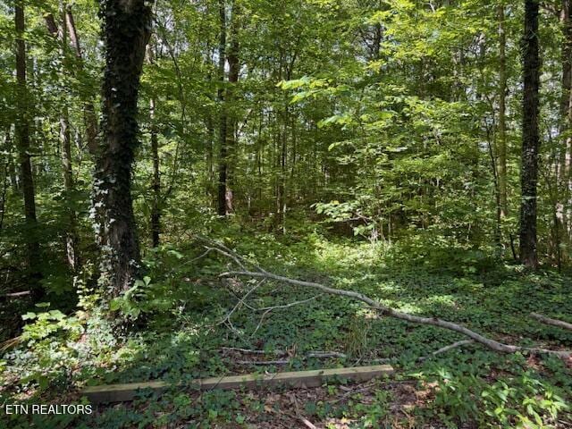 Bates Gibson Rd, Sevierville, TN 37876