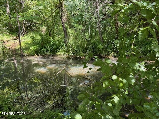 Bates Gibson Rd, Sevierville, TN 37876
