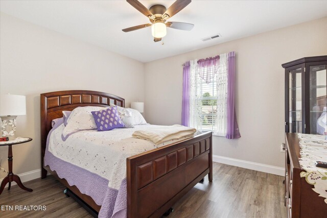 2250 Murphys Chapel Dr, Sevierville, TN 37876 - photo 19
