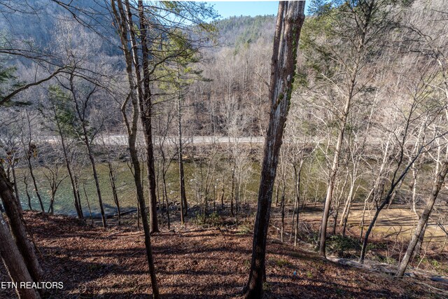 212 Parkline Way, Townsend, TN 37882 - photo 27