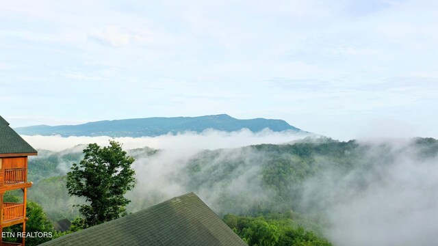 936 Black Bear Cub Way, Sevierville, TN 37862 - photo 4