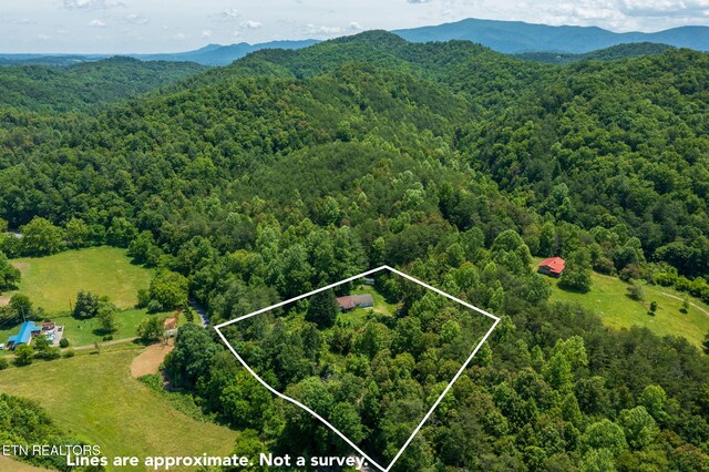 775 Middle Creek Rd, Cosby, TN 37722 - view of property location featuring property parcel outlined and mountains