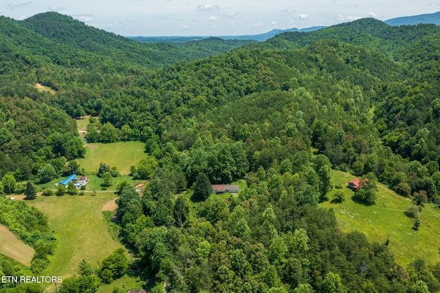 775 Middle Creek Rd, Cosby, TN 37722 - bird's eye view of a forest and a mountainous background