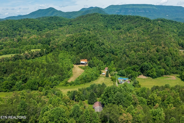775 Middle Creek Rd, Cosby, TN 37722 - drone / aerial view of a forest and a mountainous background