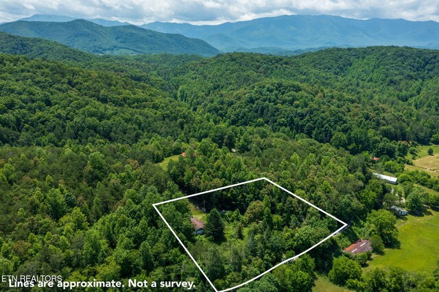 775 Middle Creek Rd, Cosby, TN 37722 - aerial view of property and surrounding area featuring property parcel outlined and a mountainous background
