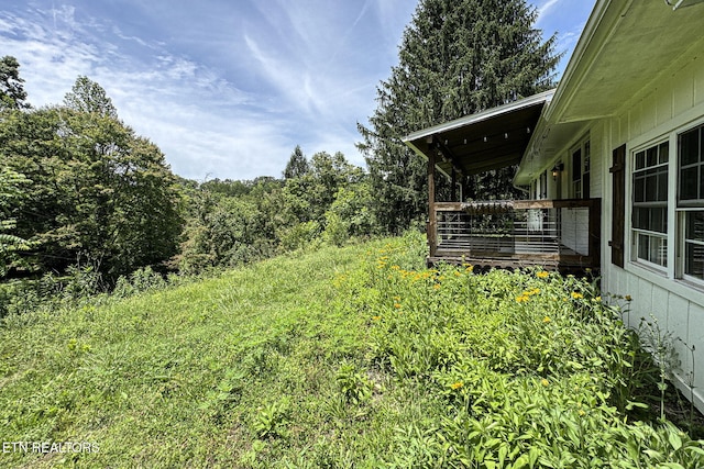 775 Middle Creek Rd, Cosby, TN 37722 - view of yard