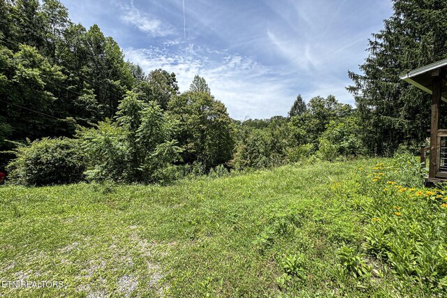 775 Middle Creek Rd, Cosby, TN 37722 - view of yard featuring a wooded view