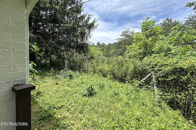 775 Middle Creek Rd, Cosby, TN 37722 - view of yard with a forest view