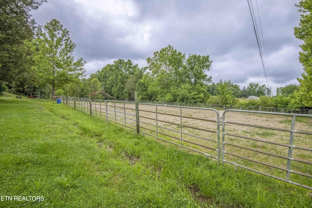 1246 Laurel Bluff Rd, Kingston, TN 37763 - view of yard with a view of rural / pastoral area
