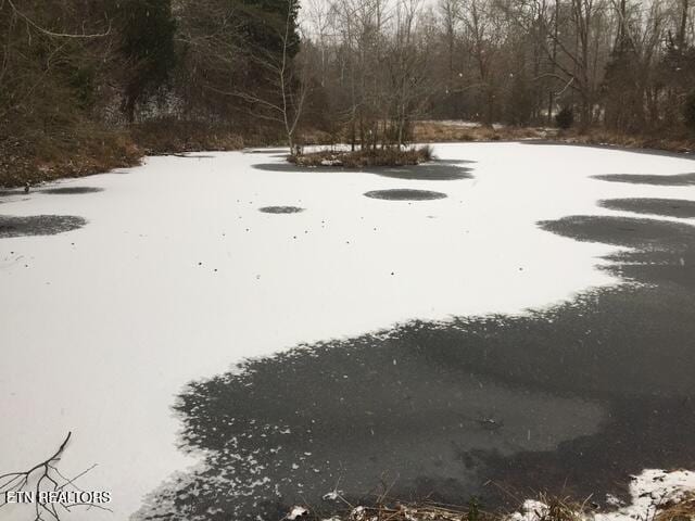 1246 Laurel Bluff Rd, Kingston, TN 37763 - yard layered in snow with a view of trees