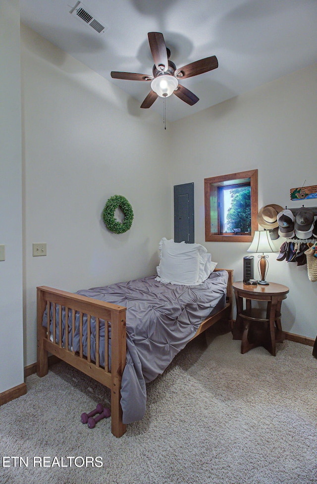 226 Mountain Crest Dr, Lafollette, TN 37766 - carpeted bedroom with electric panel and a ceiling fan