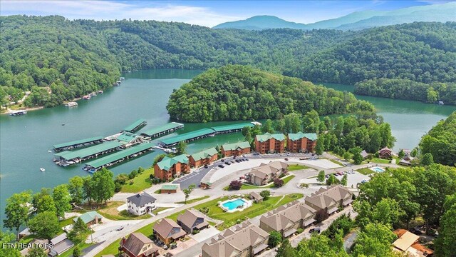 140 Broadleaf Ln Unit 100, Caryville, TN 37714 - drone / aerial view of a large body of water