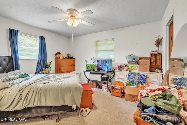 3413 N Fountaincrest Dr, Knoxville, TN 37918 - bedroom with carpet and ceiling fan