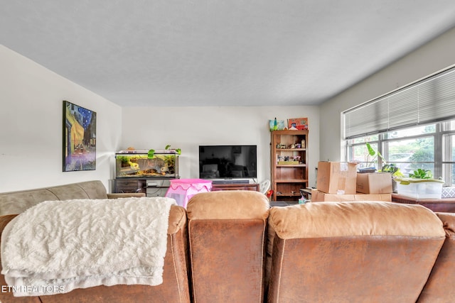 3413 N Fountaincrest Dr, Knoxville, TN 37918 - view of living area