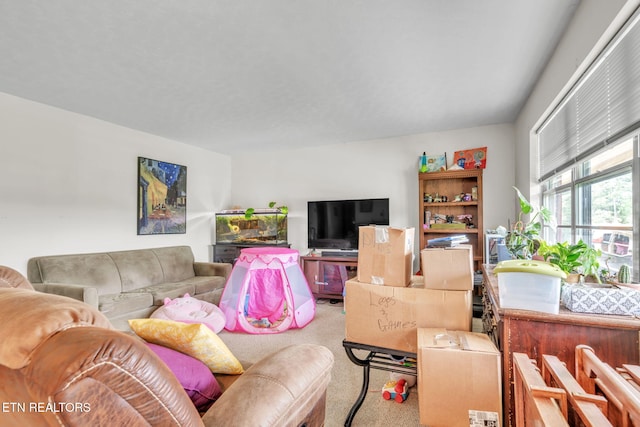 3413 N Fountaincrest Dr, Knoxville, TN 37918 - view of carpeted living room
