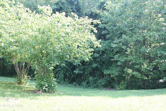 2122 Pickett Park Hwy, Jamestown, TN 38556 - view of yard with a wooded view