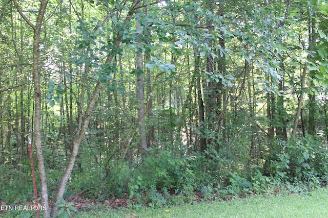 2122 Pickett Park Hwy, Jamestown, TN 38556 - view of wooded area