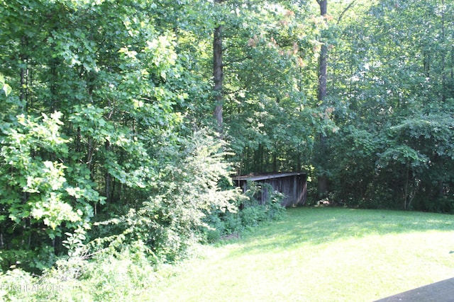 2122 Pickett Park Hwy, Jamestown, TN 38556 - view of grassy yard with a view of trees