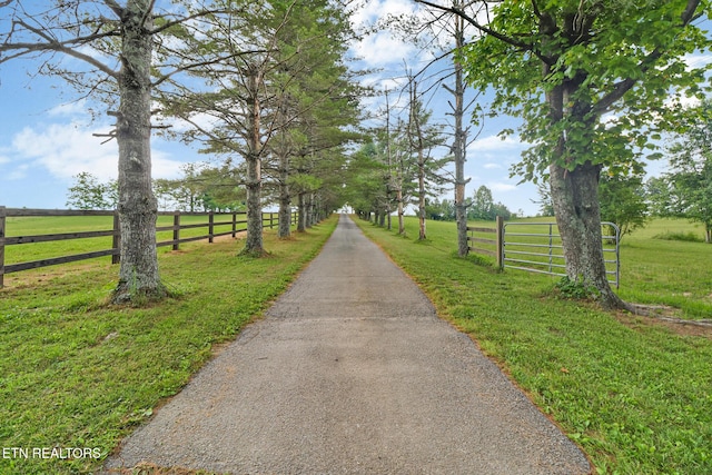 1541 Clear Creek Rd, Crossville, TN 38571 - photo 36