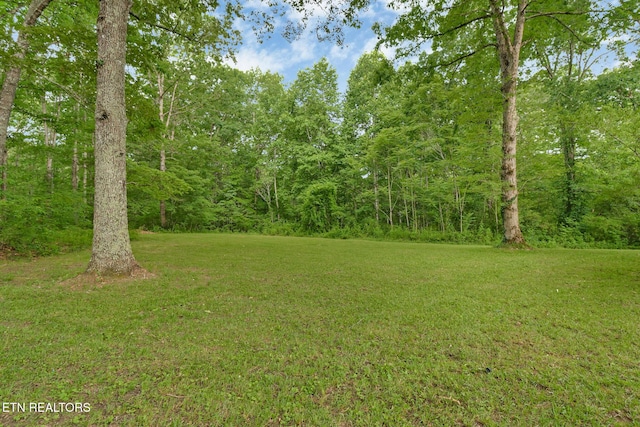 1541 Clear Creek Rd, Crossville, TN 38571 - photo 41