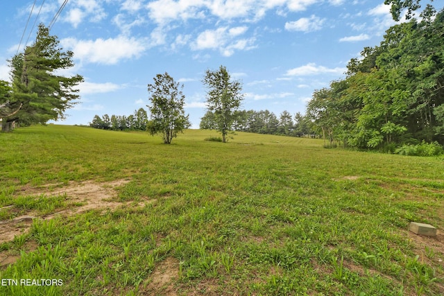 1541 Clear Creek Rd, Crossville, TN 38571 - photo 43