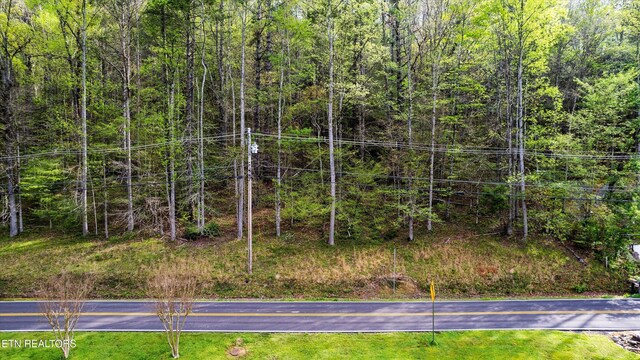 6245 Old Walland Hwy, Walland, TN 37886 - photo 3
