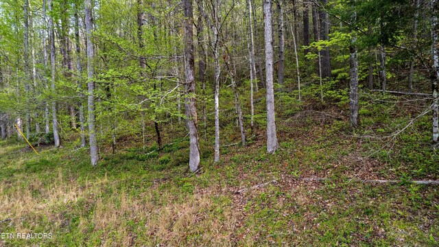 6245 Old Walland Hwy, Walland, TN 37886 - photo 4