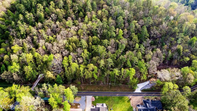 6245 Old Walland Hwy, Walland, TN 37886 - photo 6