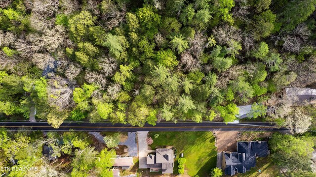 6245 Old Walland Hwy, Walland, TN 37886 - photo 7