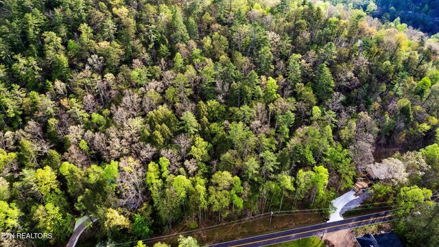 6245 Old Walland Hwy, Walland, TN 37886 - photo 9