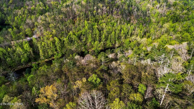 6245 Old Walland Hwy, Walland, TN 37886 - photo 11