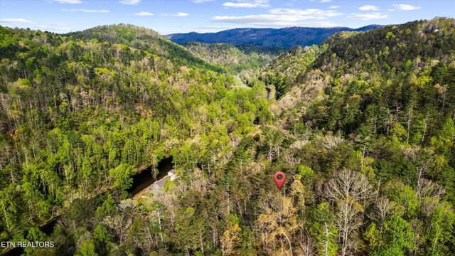 6245 Old Walland Hwy, Walland, TN 37886 - photo 12