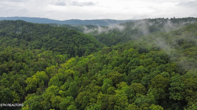 487 Straight Branch Rd, Speedwell, TN 37870 - view of mountain backdrop with a forest
