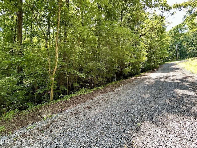 000 Grand Country Dr, Cosby, TN 37722 - photo 5
