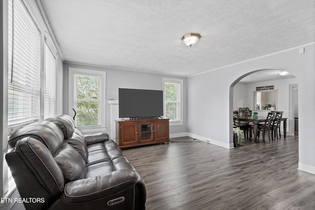 216 S Elmwood St, Knoxville, TN 37914 - photo 4