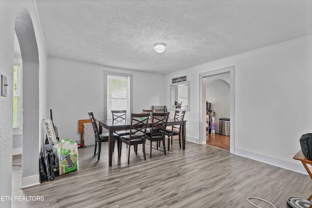 216 S Elmwood St, Knoxville, TN 37914 - photo 8