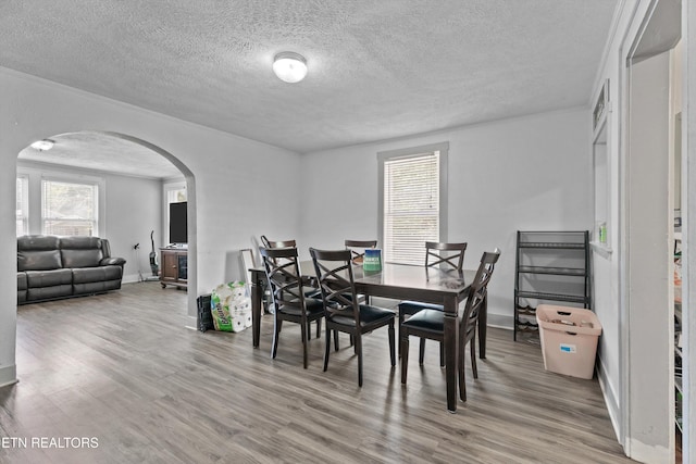 216 S Elmwood St, Knoxville, TN 37914 - photo 9