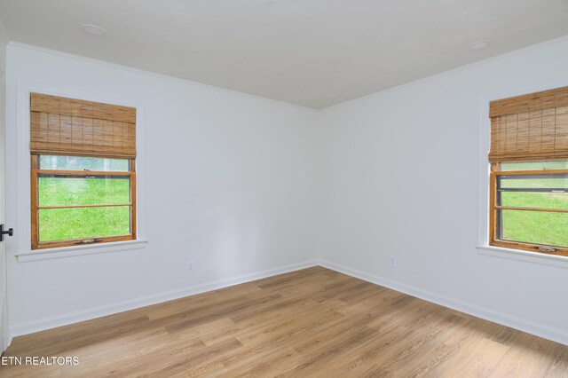 721 Woodview Dr, Knoxville, TN 37912 - photo 13
