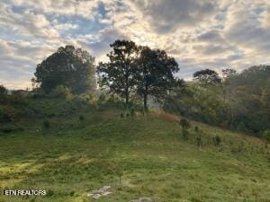 000 Thorngrove Pike, Strawberry Plains, TN 37871