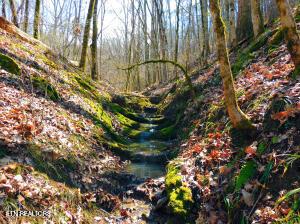 000 Thorngrove Pike, Strawberry Plains, TN 37871