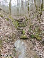 000 Thorngrove Pike, Strawberry Plains, TN 37871