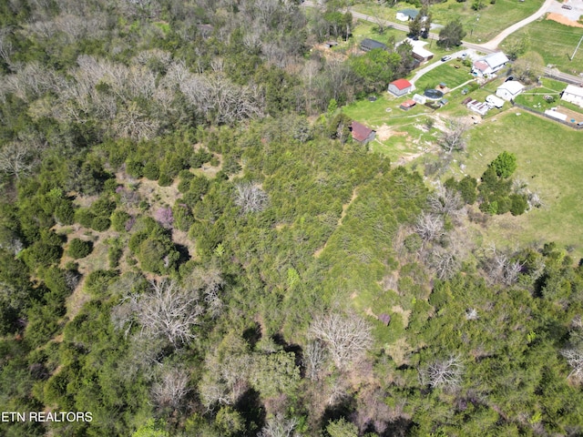 000 Thorngrove Pike, Strawberry Plains, TN 37871 - photo 1