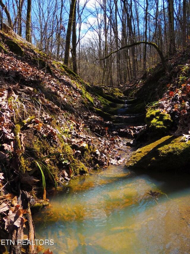 000 Thorngrove Pike, Strawberry Plains, TN 37871 - photo 5