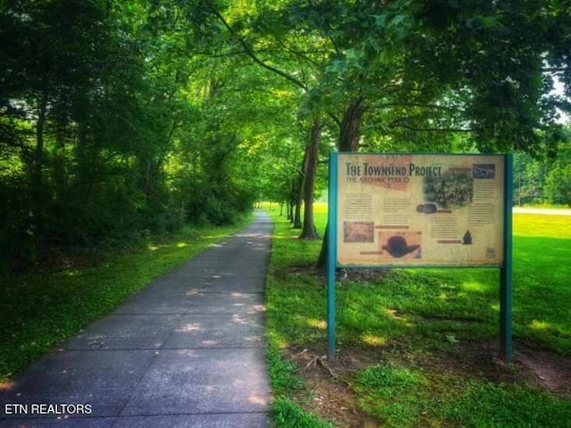 326 Shooting Star Loop Unit 201, Townsend, TN 37882 - view of home's community