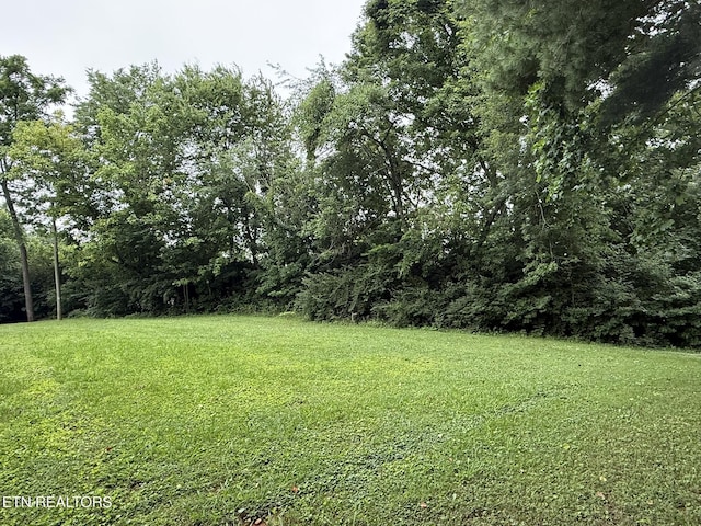 1637 Jefferson St, Morristown, TN 37814 - view of grassy yard